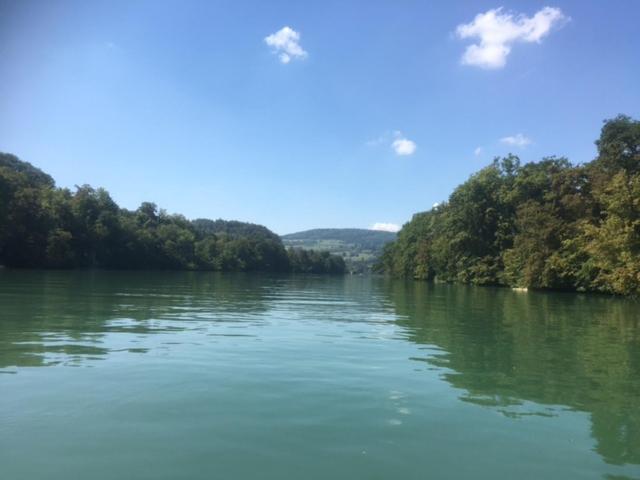 Swiss View Daire Hohentengen am Hochrhein Dış mekan fotoğraf